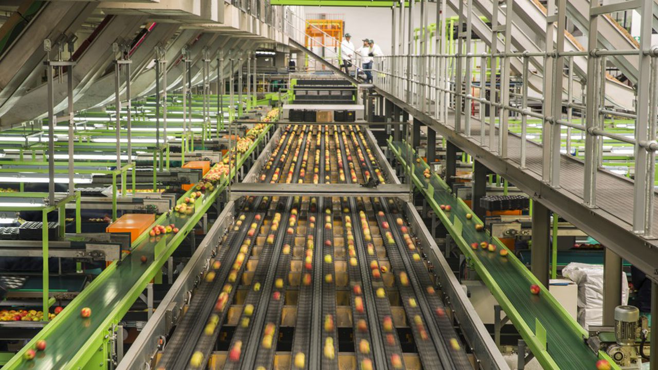 Industrie agroalimentaire: grosse tension sur les marges des entreprises